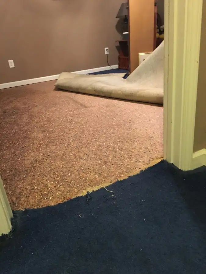 Carpet pad removal revealing water damage during Water Mitigation Services in Westford
