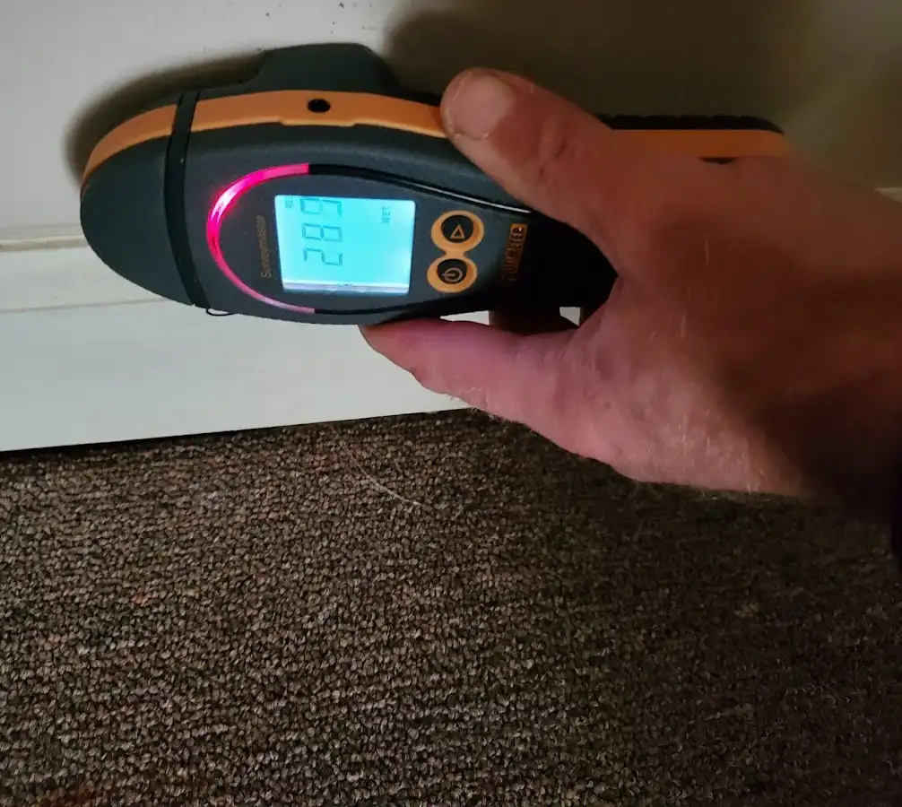 Moisture detection at baseboard during Sewage Cleanup & Sanitation in Westford